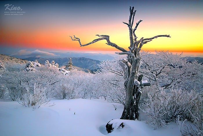 [키노]덕유산, 설국의 세상속으로.jpg